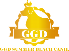 GGD Summer Beach